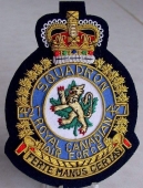 Blazer Badge